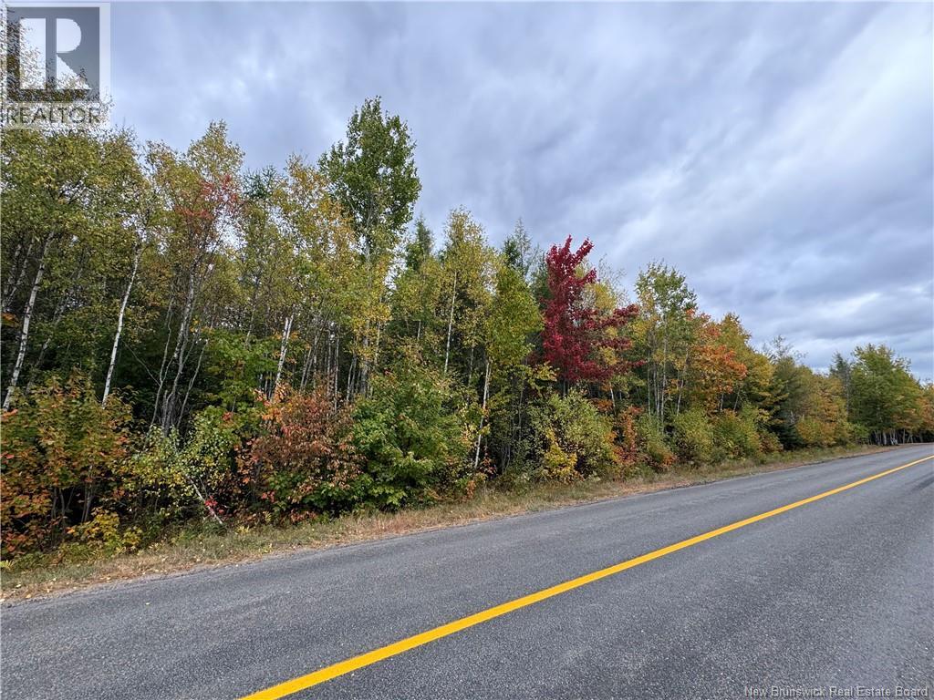 Blueberry Lane, Codys, New Brunswick E4C 1E3 - Photo 1 - NB132130