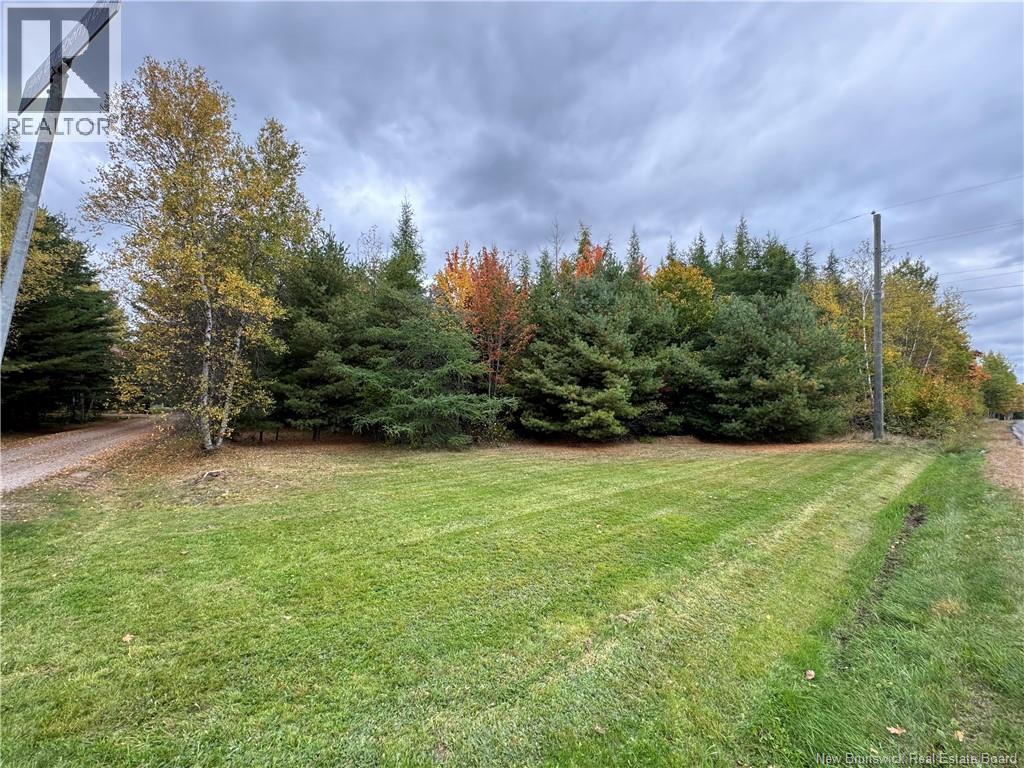 Blueberry Lane, Codys, New Brunswick E4C 1E3 - Photo 3 - NB132130