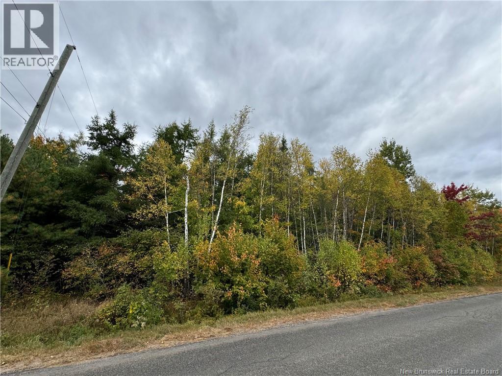 Blueberry Lane, Codys, New Brunswick E4C 1E3 - Photo 4 - NB132130