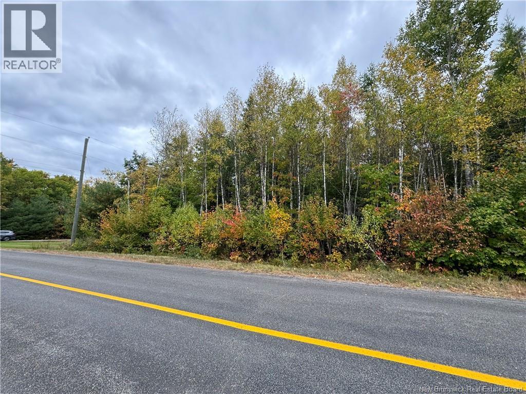 Blueberry Lane, Codys, New Brunswick E4C 1E3 - Photo 6 - NB132130
