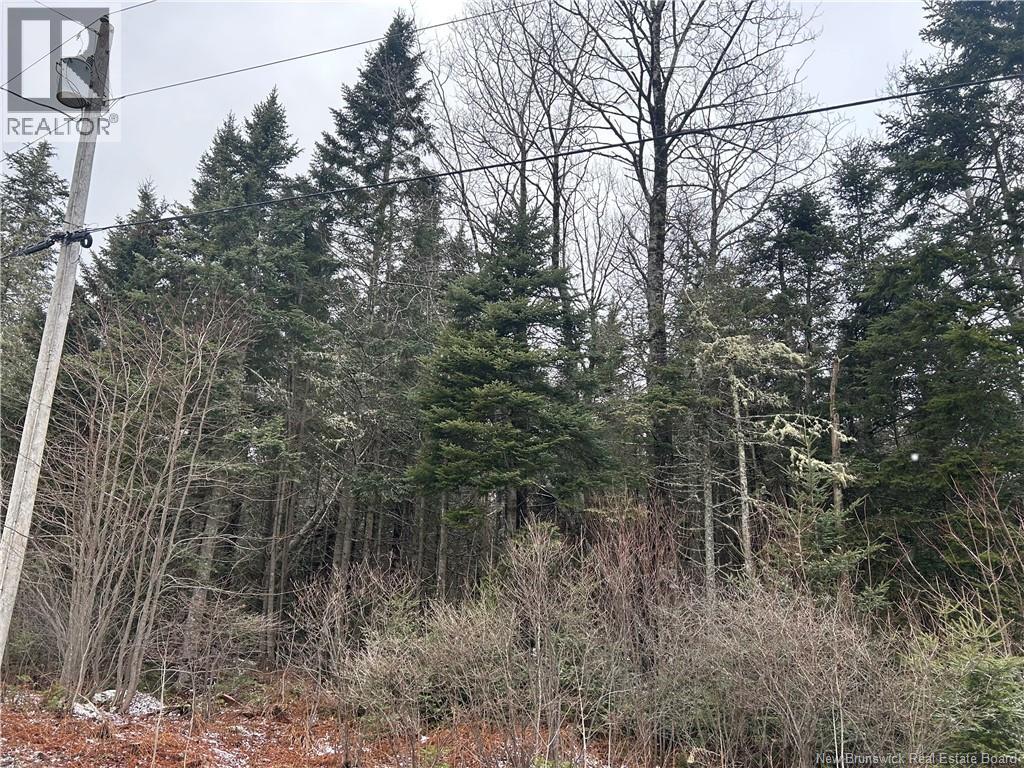 Lot 26-4 Backland, Kingston, New Brunswick