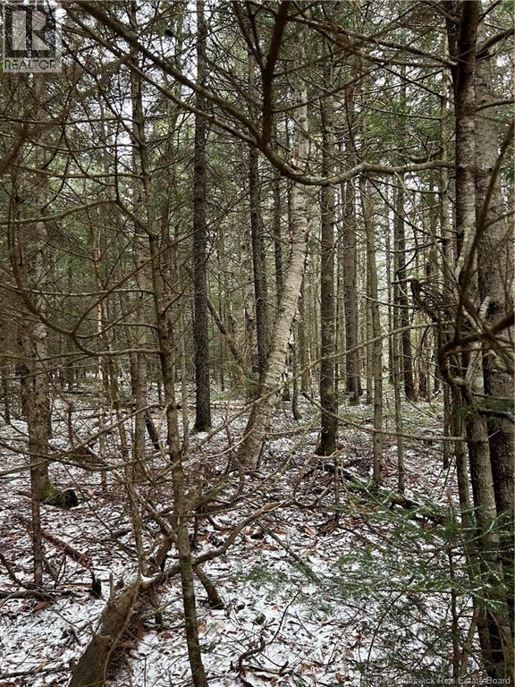 Lot 26-3 Backland Road, Kingston, New Brunswick E5N 1E2 - Photo 1 - NB132253