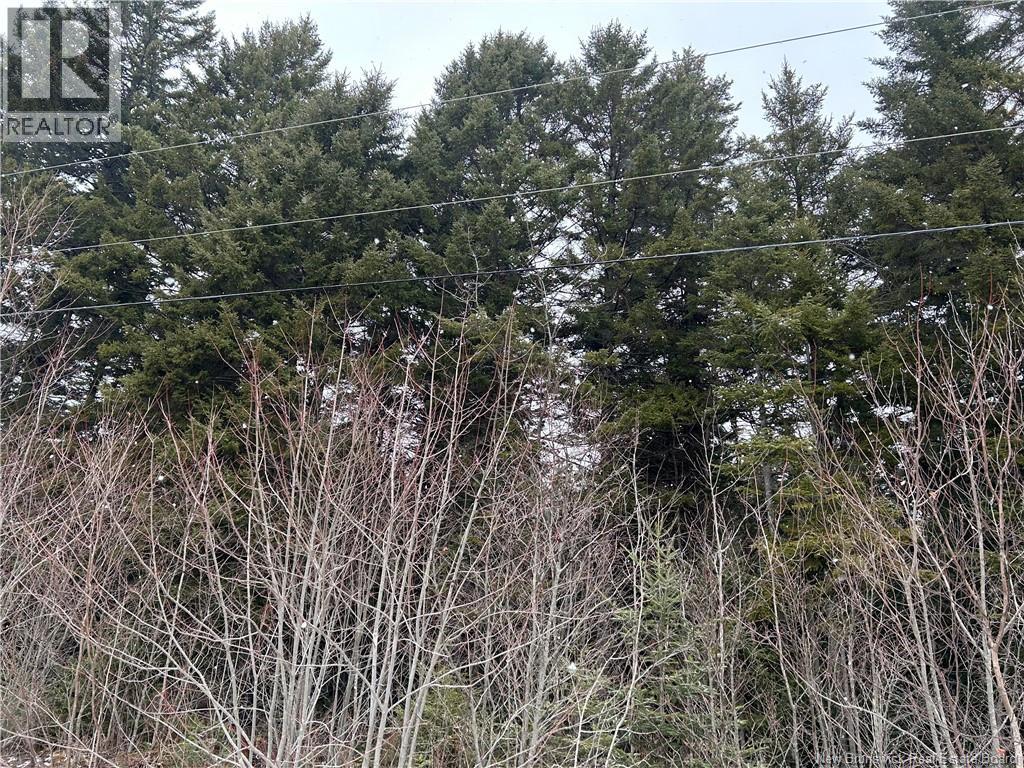 Lot 26-2 Backland Road, Kingston, New Brunswick  E5N 1E2 - Photo 1 - NB132249