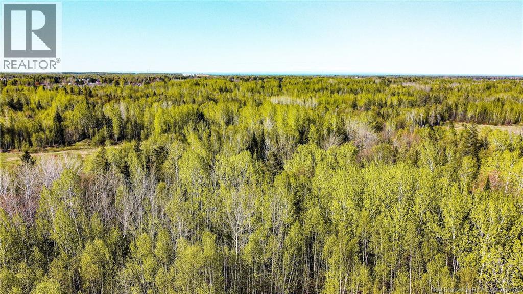 1 St Anne Street, Bathurst, New Brunswick E2A 6X2 - Photo 5 - NB132264