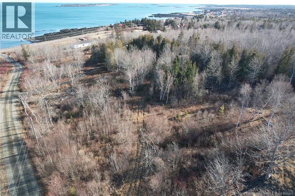 Wellington Drive, Grand Manan, New Brunswick  E5G 1M8 - Photo 3 - NB132240