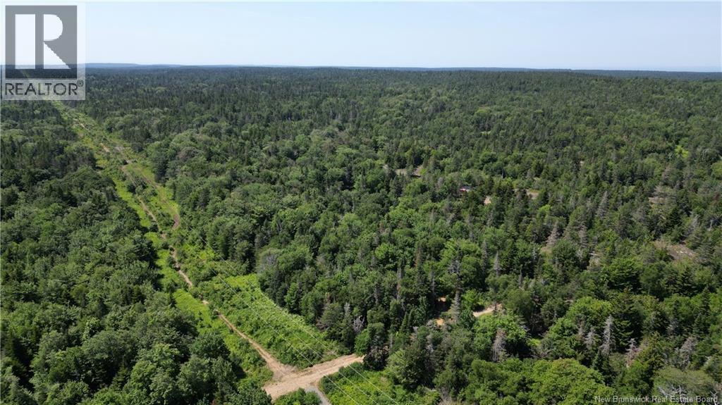Money Cove Brook, Grand Manan, New Brunswick  E5G 1L8 - Photo 10 - NB132276