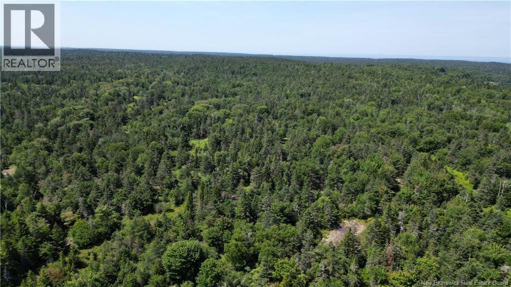 Money Cove Brook, Grand Manan, New Brunswick  E5G 1L8 - Photo 11 - NB132276