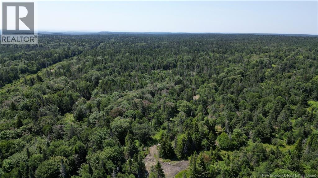 Money Cove Brook, Grand Manan, New Brunswick  E5G 1L8 - Photo 12 - NB132276