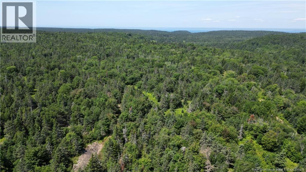 Money Cove Brook, Grand Manan, New Brunswick  E5G 1L8 - Photo 13 - NB132276