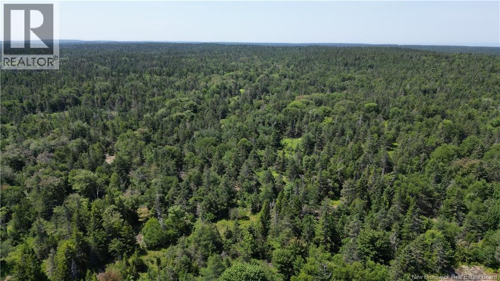 Money Cove Brook, Grand Manan, New Brunswick  E5G 1L8 - Photo 14 - NB132276