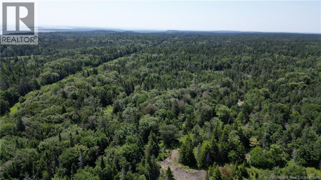 Money Cove Brook, Grand Manan, New Brunswick  E5G 1L8 - Photo 15 - NB132276
