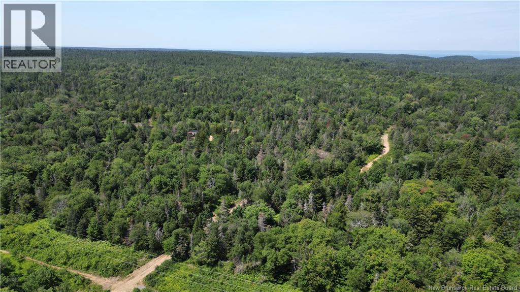 Money Cove Brook, Grand Manan, New Brunswick  E5G 1L8 - Photo 5 - NB132276