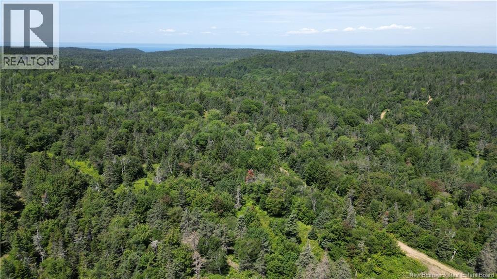 Money Cove Brook, Grand Manan, New Brunswick  E5G 1L8 - Photo 9 - NB132276
