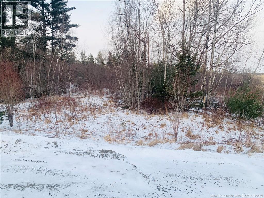 Land Hayman Avenue, St. Stephen, New Brunswick  E3L 5E4 - Photo 4 - NB132438