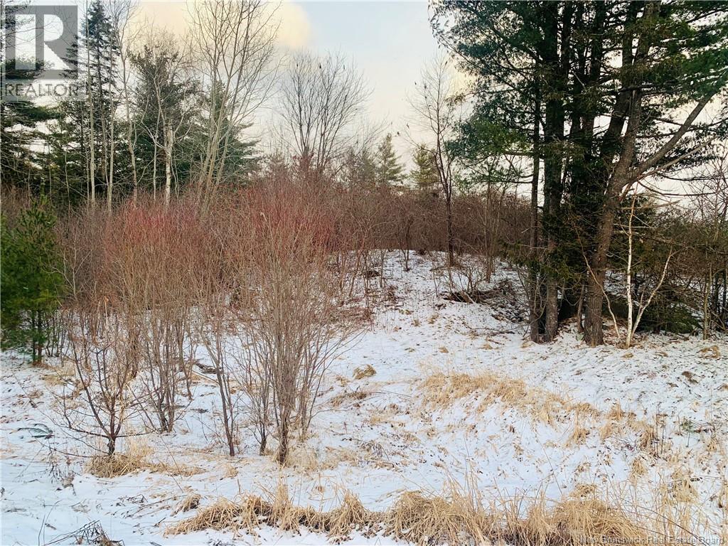 Land Hayman Avenue, St. Stephen, New Brunswick  E3L 5E4 - Photo 5 - NB132438