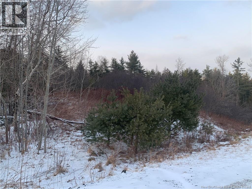 Land Hayman Avenue, St. Stephen, New Brunswick  E3L 5E4 - Photo 8 - NB132438