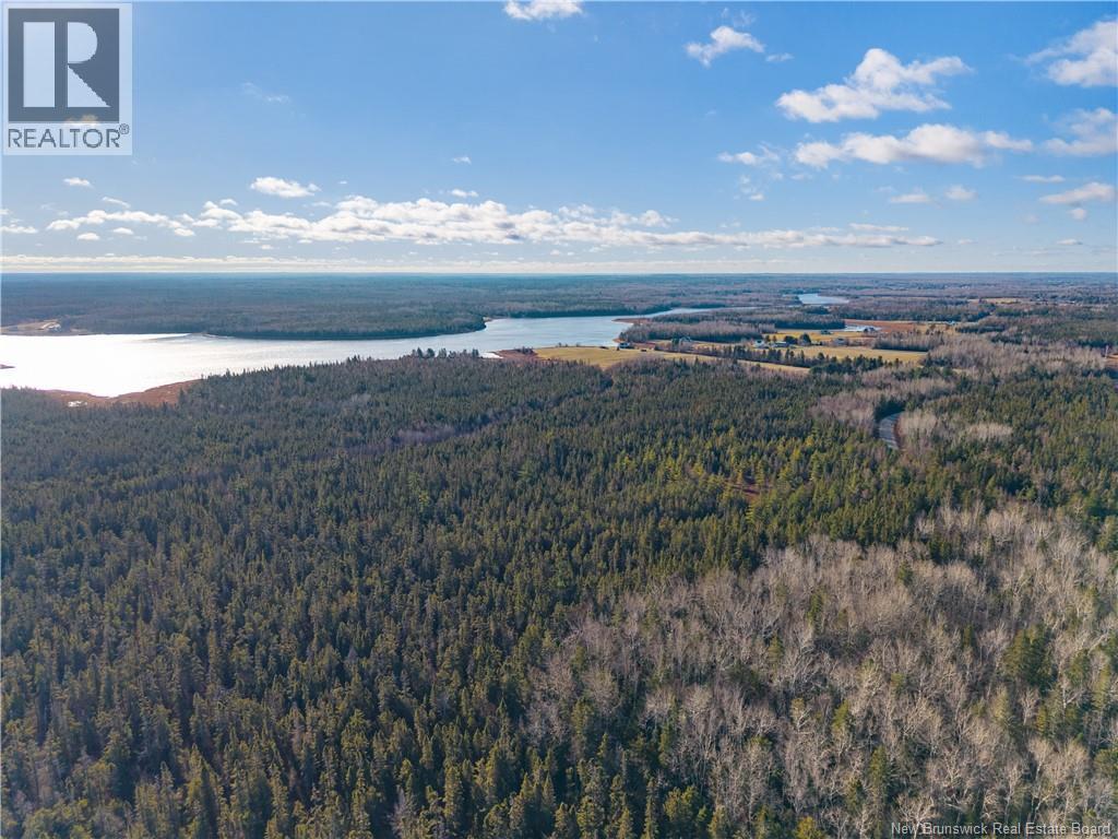 180 Murdock Road, Napan, New Brunswick E1N 5A2 - Photo 48 - NB130572