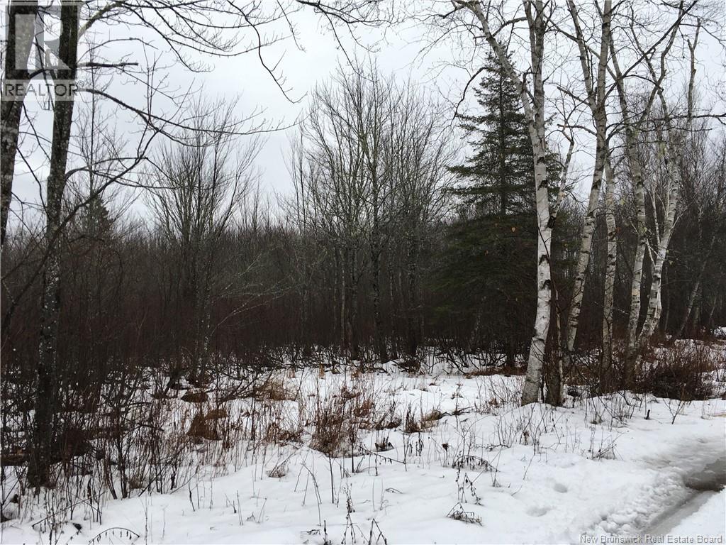 263 Mcnairn Road, Sainte-Marie-De-Kent, New Brunswick  E4S 1W7 - Photo 5 - NB132190