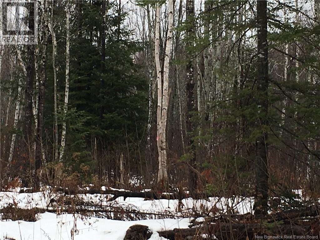 263 Mcnairn Road, Sainte-Marie-De-Kent, New Brunswick  E4S 1W7 - Photo 8 - NB132190