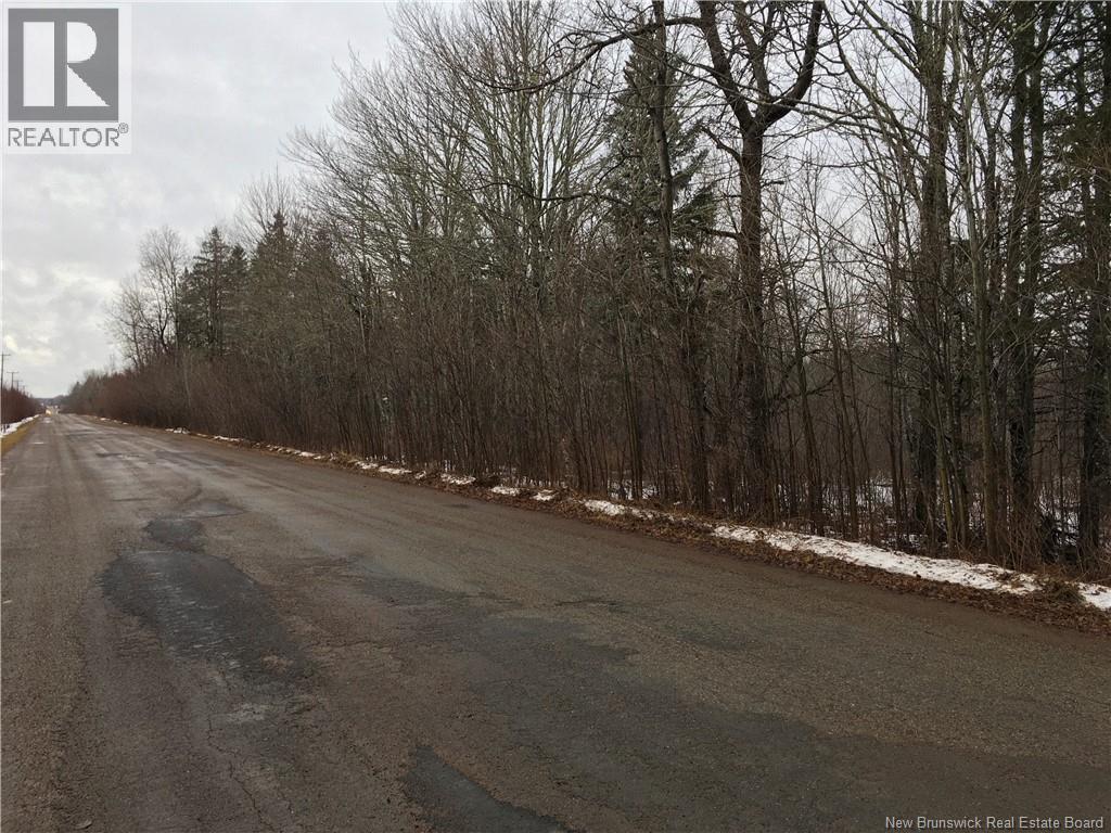 263 Mcnairn Road, Sainte-Marie-De-Kent, New Brunswick  E4S 1W7 - Photo 9 - NB132190