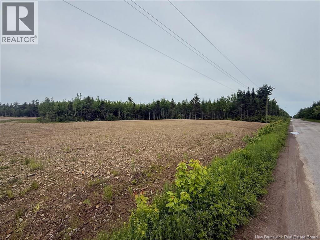 Lot 561 Ward Road, Cocagne, New Brunswick  E4R 3N3 - Photo 12 - NB132395