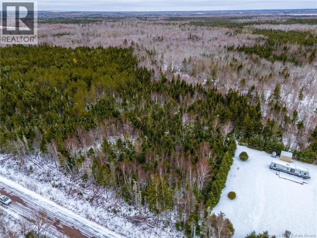Lot Johnston Point Road, Johnston Point, New Brunswick  E4M 1P4 - Photo 10 - NB132415