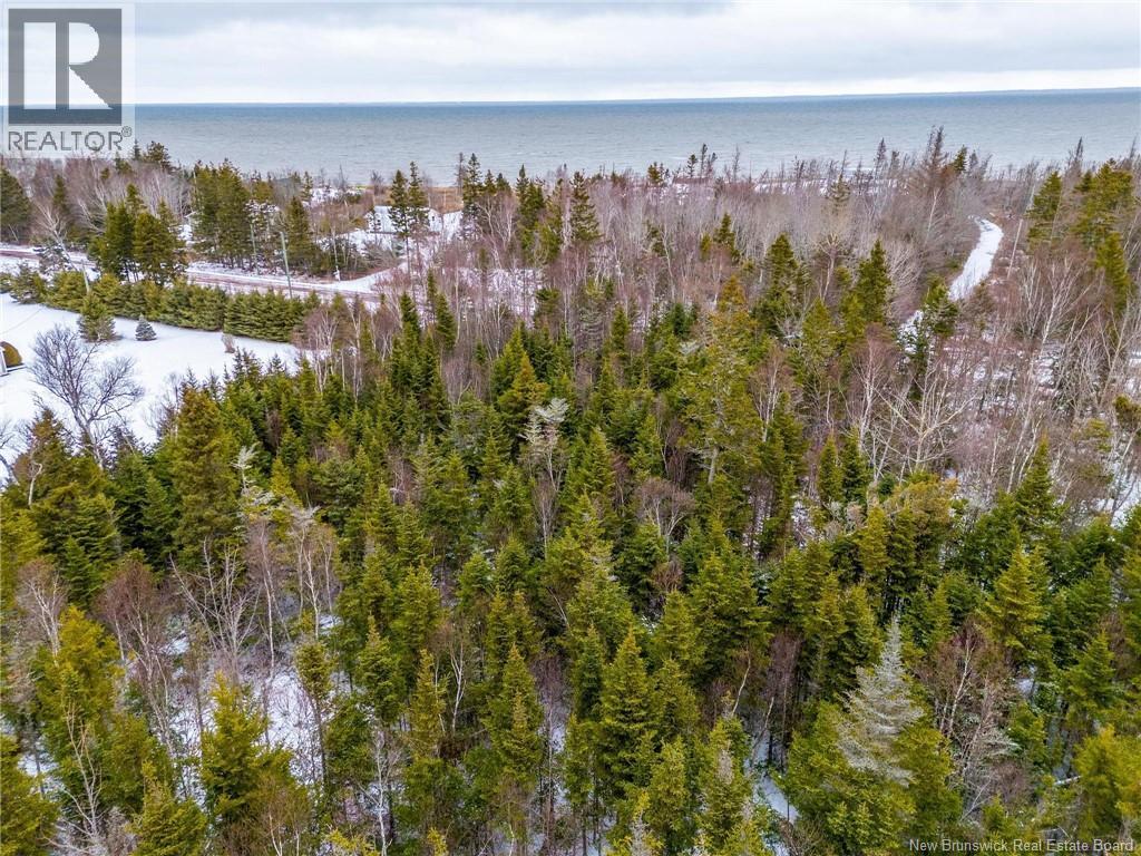 Lot Johnston Point Road, Johnston Point, New Brunswick  E4M 1P4 - Photo 17 - NB132415
