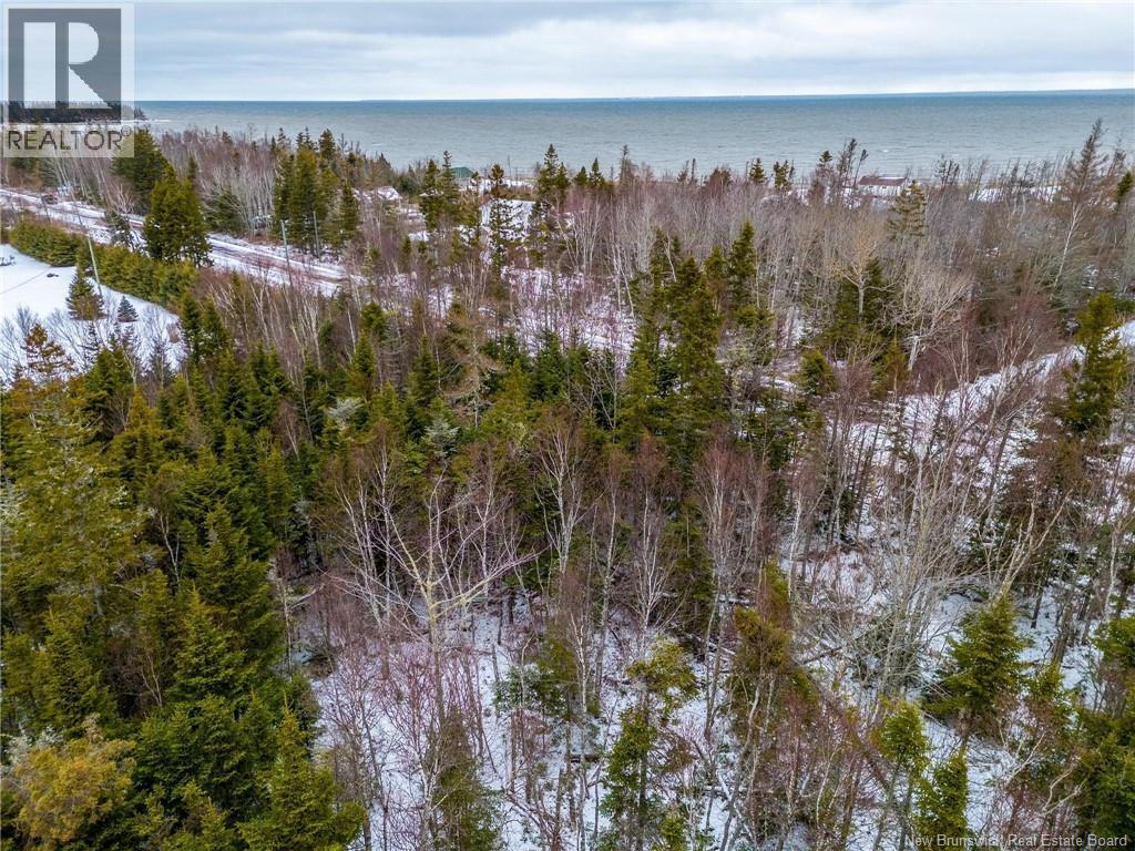Lot Johnston Point Road, Johnston Point, New Brunswick  E4M 1P4 - Photo 2 - NB132415