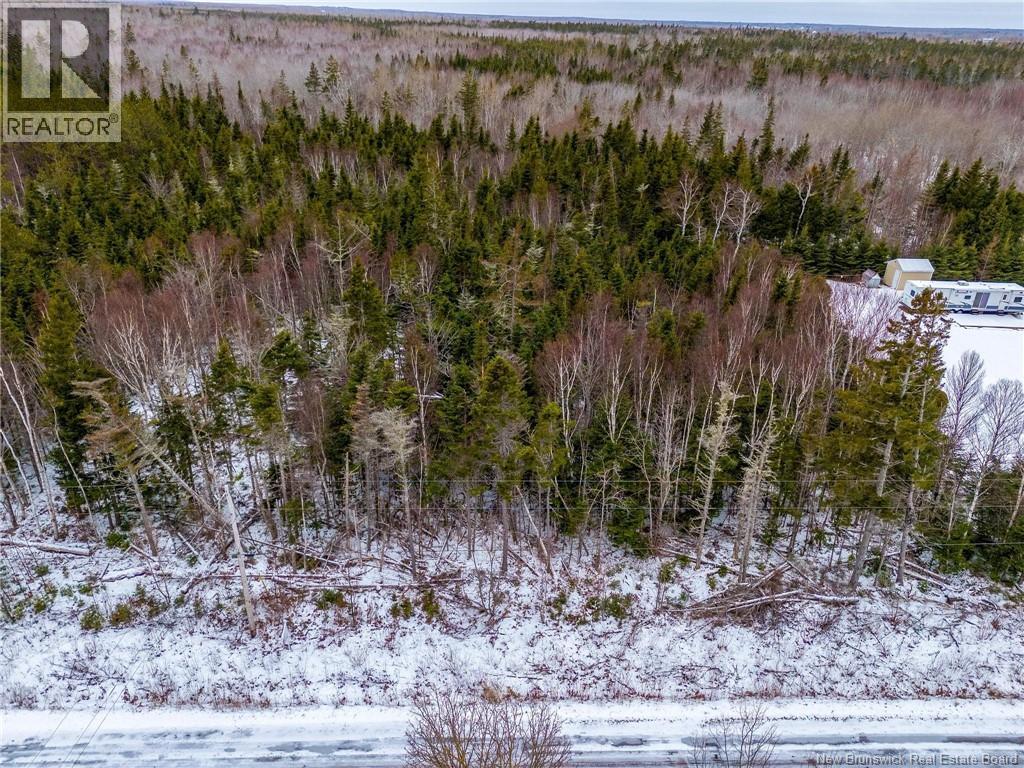 Lot Johnston Point Road, Johnston Point, New Brunswick  E4M 1P4 - Photo 3 - NB132415