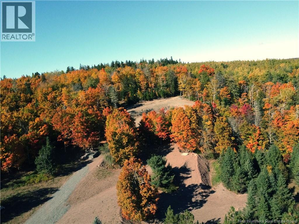 3100 Route 910, Baltimore, New Brunswick  E4H 1V4 - Photo 5 - NB132336