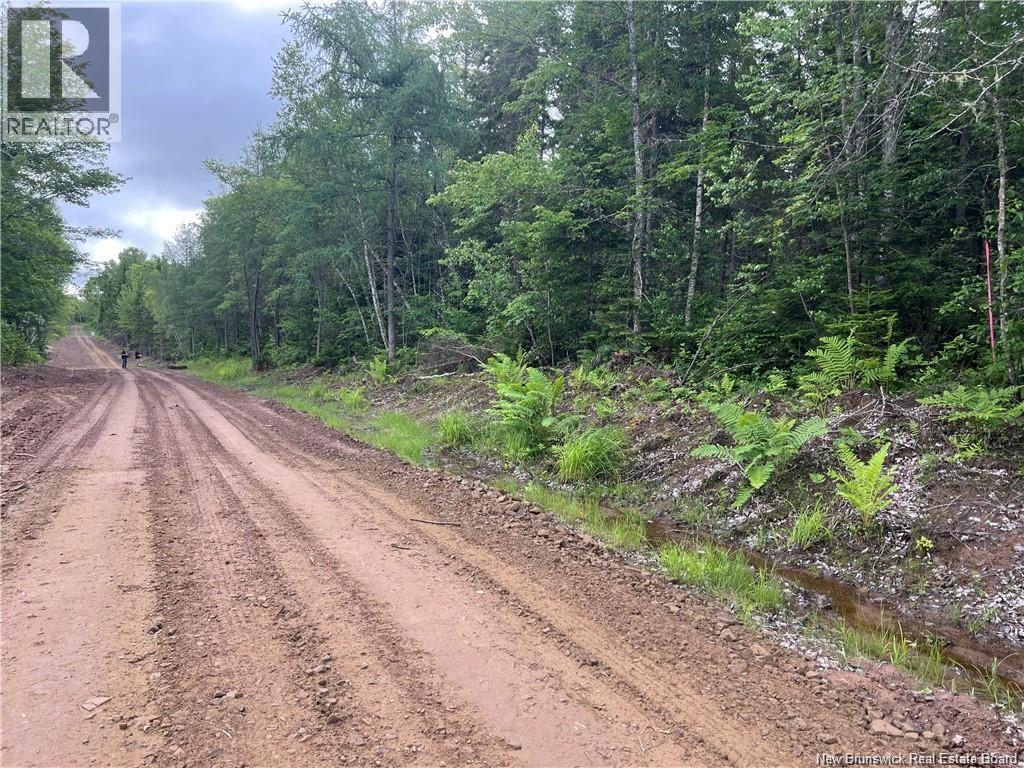 Lot 2 Murray Road, Smiths Corner, New Brunswick  E4T 1K8 - Photo 3 - NB132545