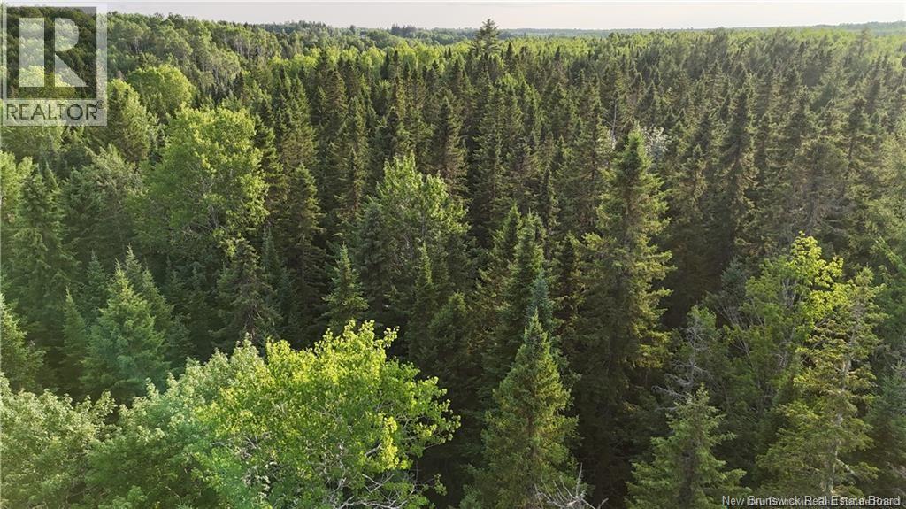 Lot 3 Murray Road, Smiths Corner, New Brunswick  E4T 1K8 - Photo 10 - NB132546