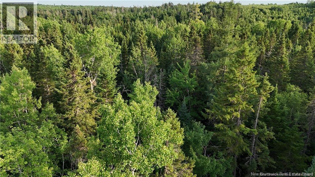 Lot 3 Murray Road, Smiths Corner, New Brunswick  E4T 1K8 - Photo 11 - NB132546