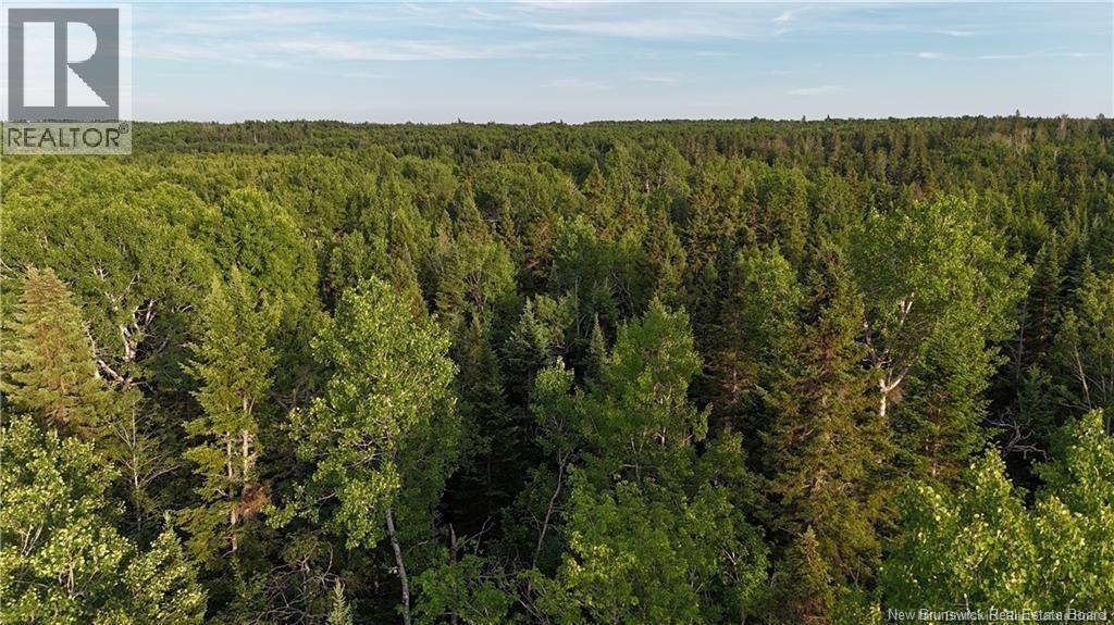 Lot 3 Murray Road, Smiths Corner, New Brunswick  E4T 1K8 - Photo 12 - NB132546