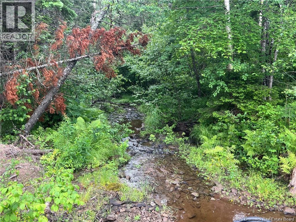 Lot 3 Murray Road, Smiths Corner, New Brunswick  E4T 1K8 - Photo 3 - NB132546