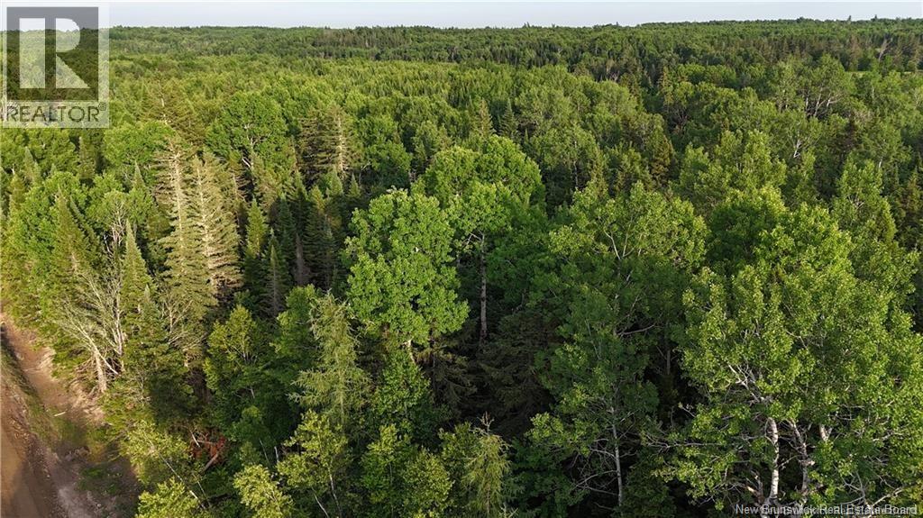 Lot 3 Murray Road, Smiths Corner, New Brunswick  E4T 1K8 - Photo 6 - NB132546