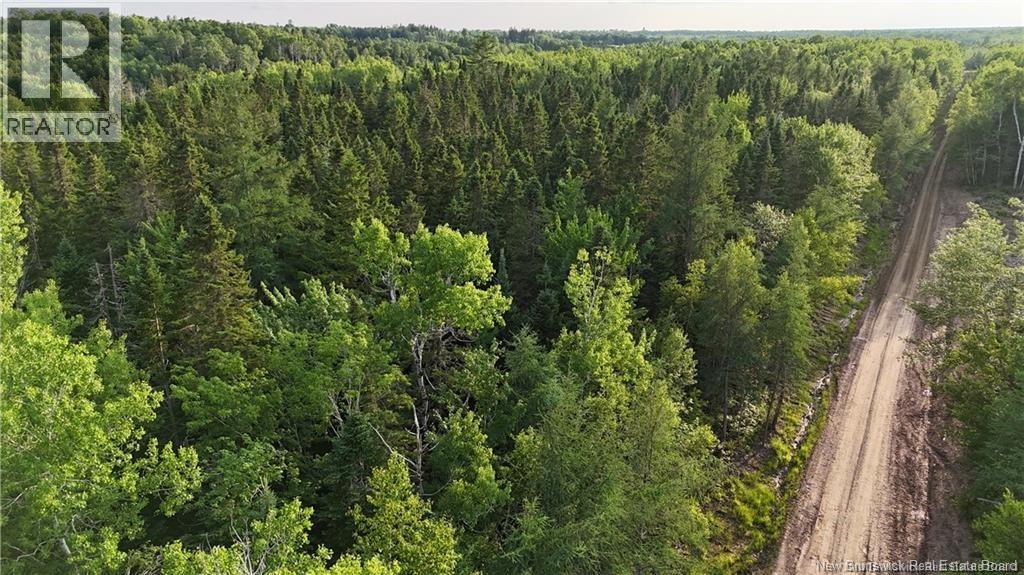 Lot 3 Murray Road, Smiths Corner, New Brunswick  E4T 1K8 - Photo 8 - NB132546