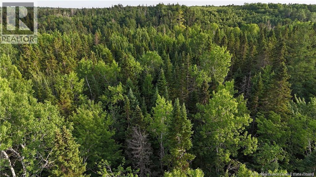 Lot 1 Murray Road, Smiths Corner, New Brunswick  E4T 1K8 - Photo 9 - NB132542