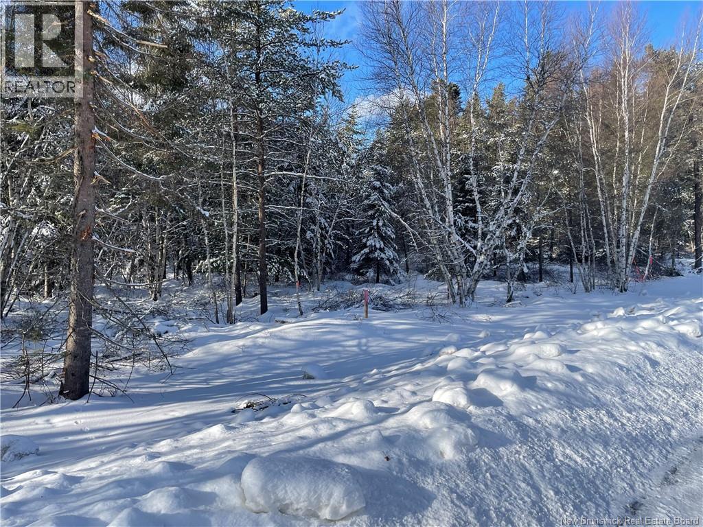 Lot 74-6 Honey Street, Miramichi, New Brunswick  E1N 3P9 - Photo 3 - NB132578