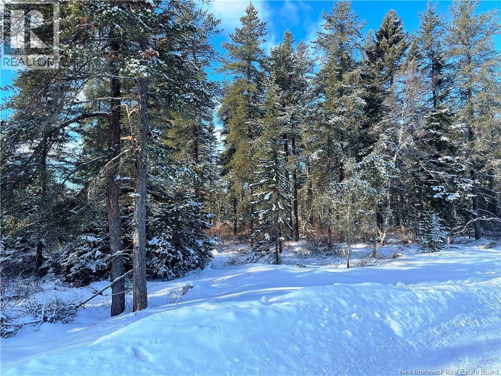 Lot 74-5 Honey Street, Miramichi, New Brunswick  E1N 3P9 - Photo 3 - NB132575