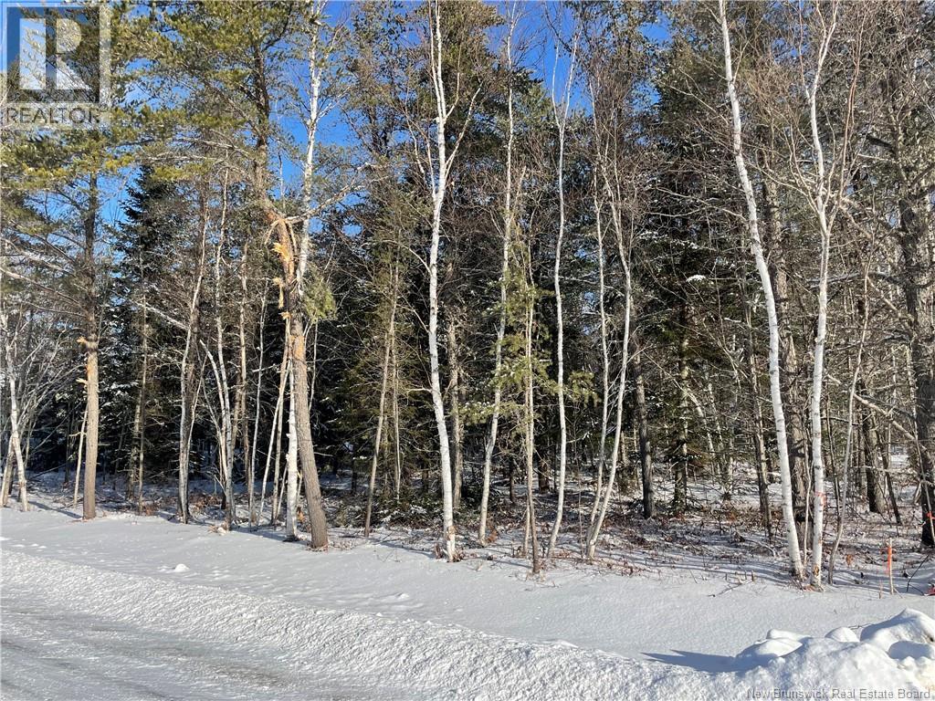 Lot 74-17 Honey Street, Miramichi, New Brunswick  E1N 3P9 - Photo 2 - NB132579
