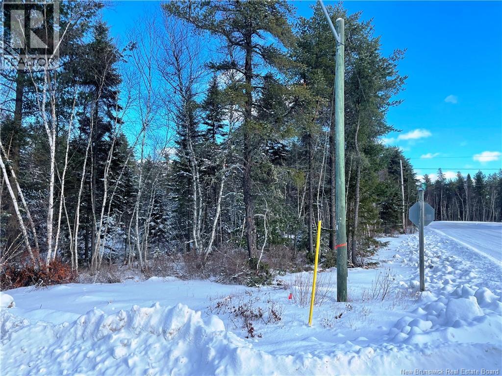 Lot 74-21 Honey Street, Miramichi, New Brunswick  E1N 3P9 - Photo 3 - NB132581