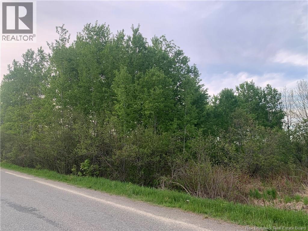Land Route 122, Fosterville, New Brunswick  E6H 2A9 - Photo 3 - NB132398