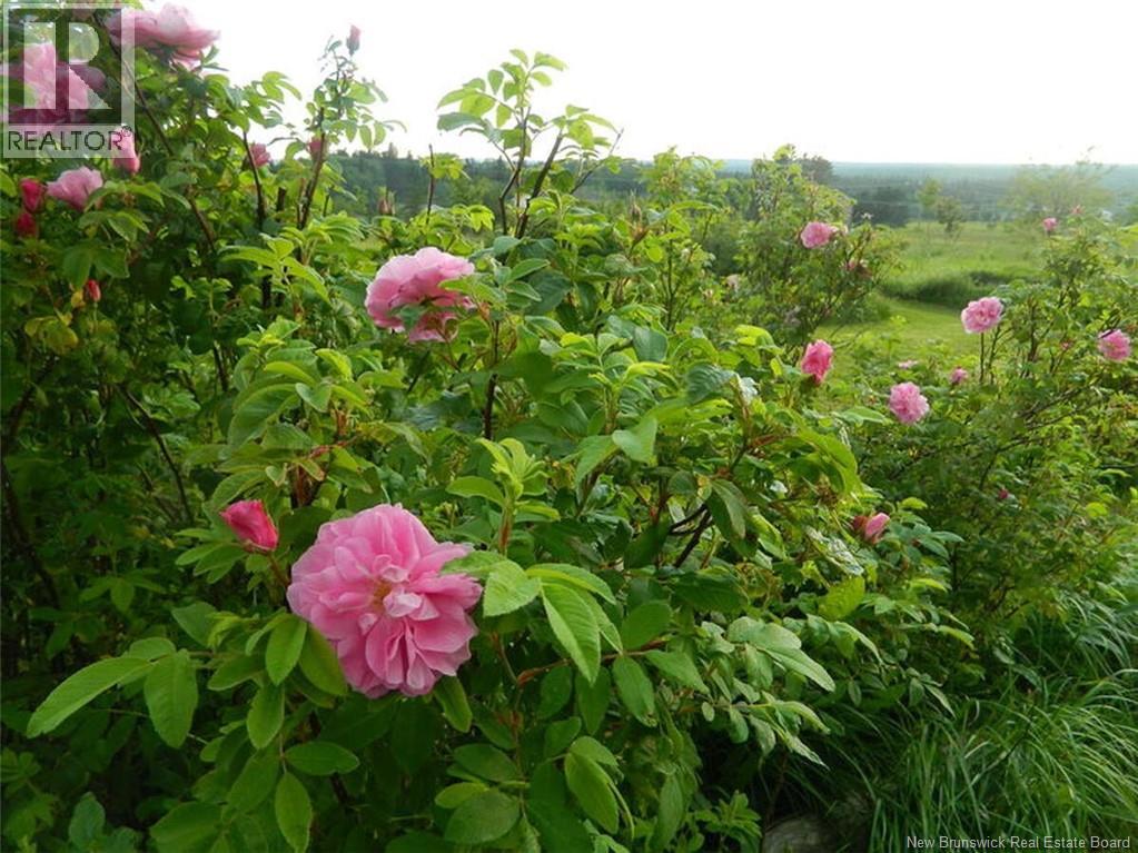 131 Fairfield Road, Sackville, New Brunswick  E4L 2X5 - Photo 30 - NB113267
