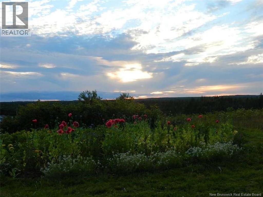 131 Fairfield Road, Sackville, New Brunswick  E4L 2X5 - Photo 38 - NB113267