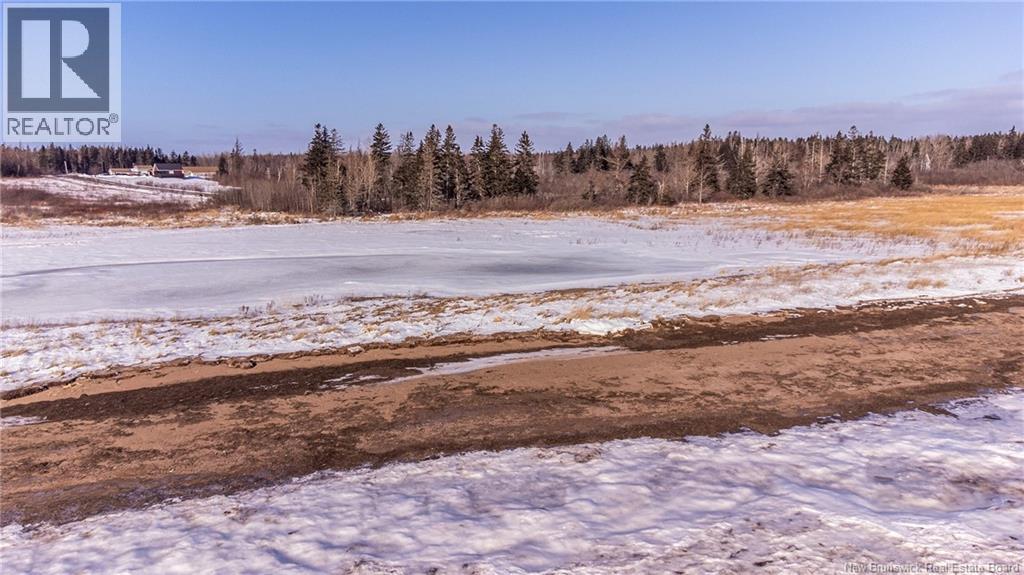Lot Fort Moncton Road, Port Elgin, New Brunswick  E4M 1G3 - Photo 10 - NB132646