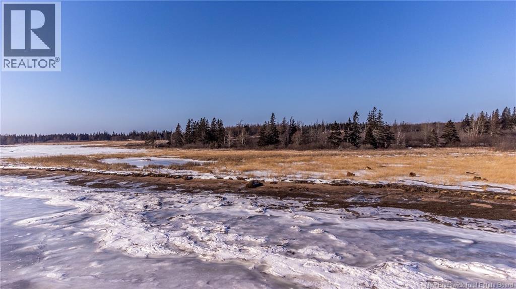 Lot Fort Moncton Road, Port Elgin, New Brunswick  E4M 1G3 - Photo 11 - NB132646