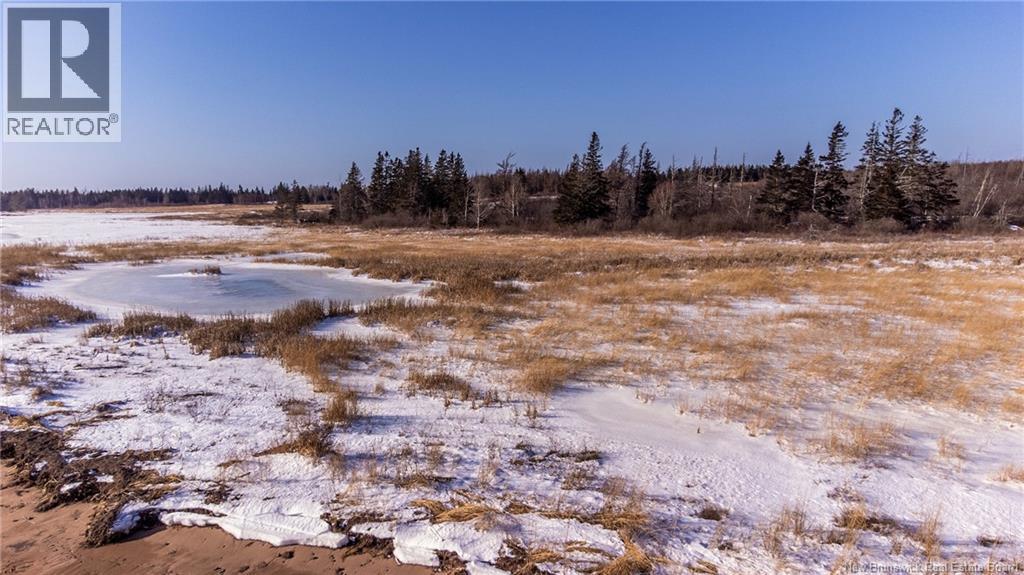 Lot Fort Moncton Road, Port Elgin, New Brunswick  E4M 1G3 - Photo 12 - NB132646