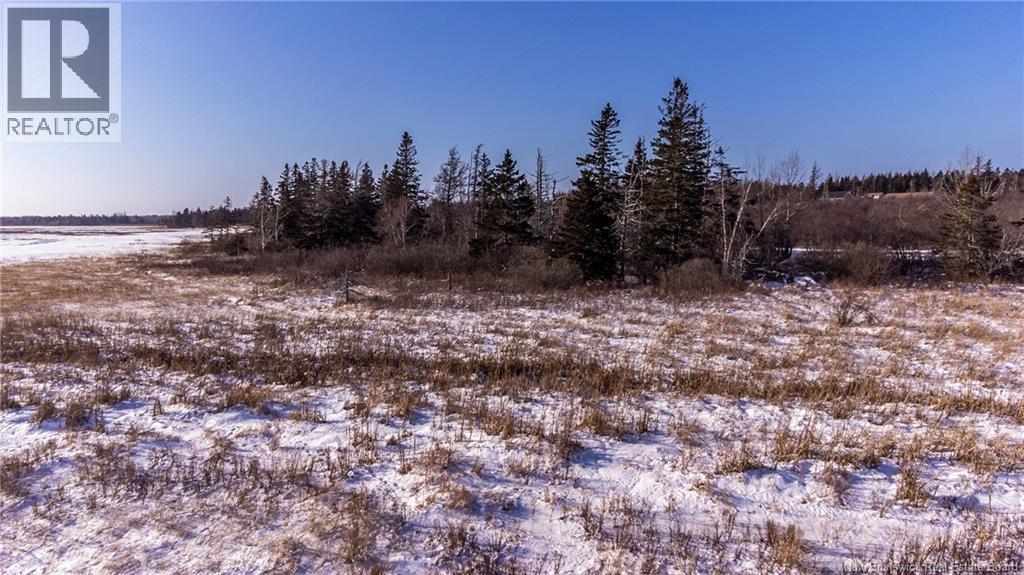 Lot Fort Moncton Road, Port Elgin, New Brunswick  E4M 1G3 - Photo 13 - NB132646