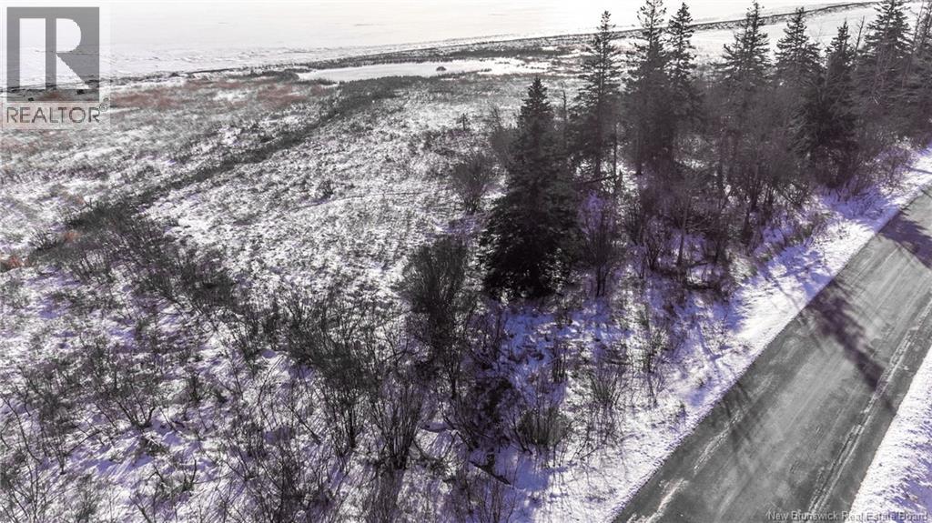 Lot Fort Moncton Road, Port Elgin, New Brunswick  E4M 1G3 - Photo 14 - NB132646